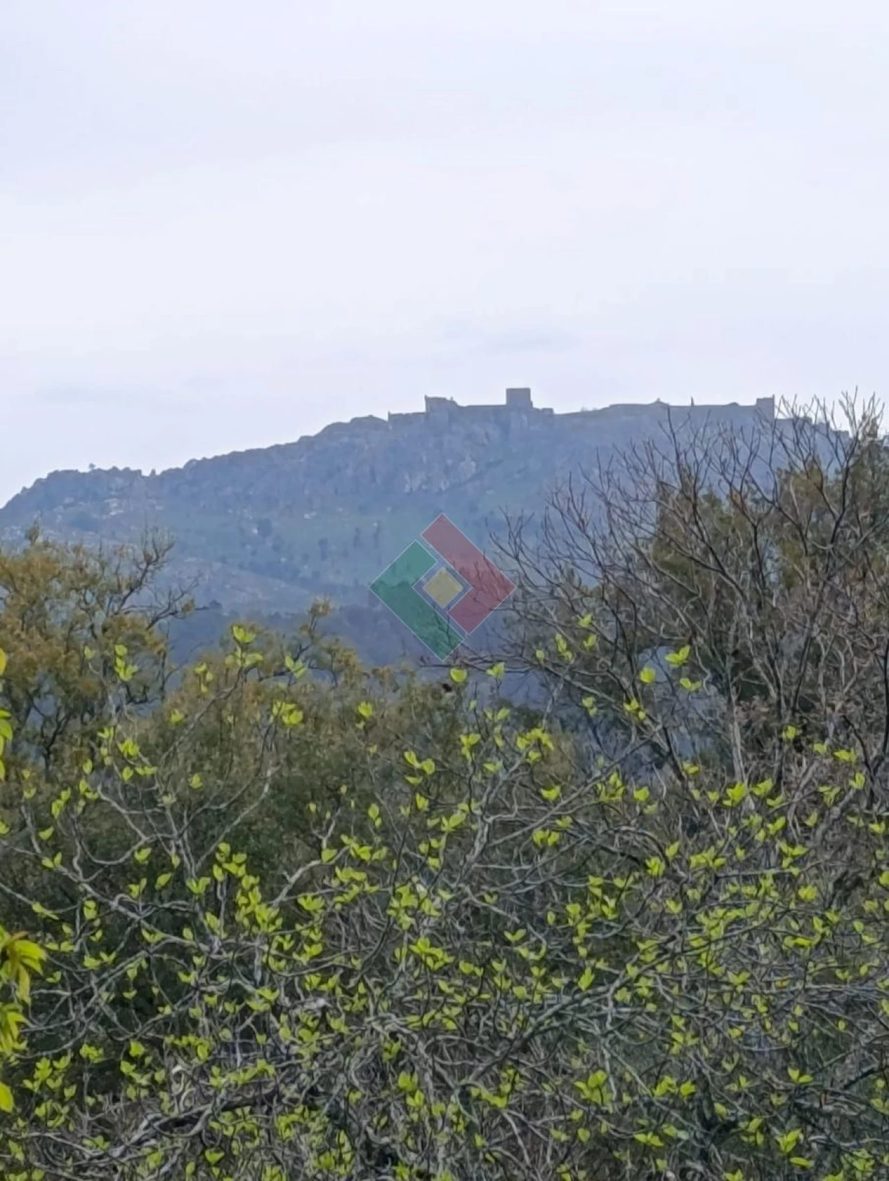 Quinta T5 para Venda em São Salvador da Aramenha Foto 14