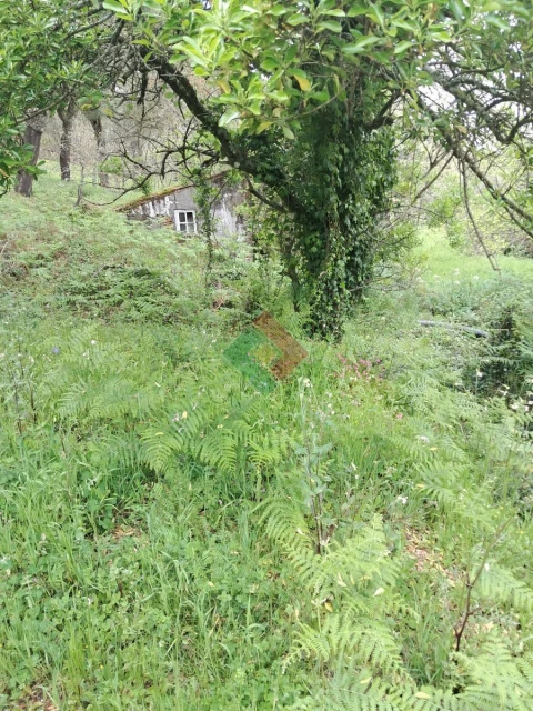 Quinta T5 para Venda em São Salvador da Aramenha