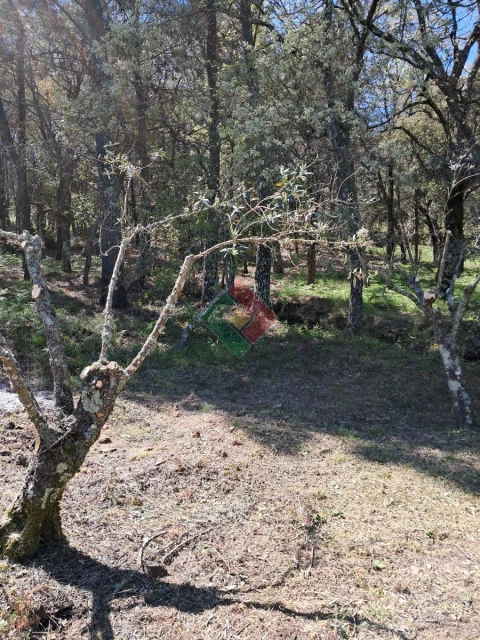 Quinta T5 para Venda em São Salvador da Aramenha