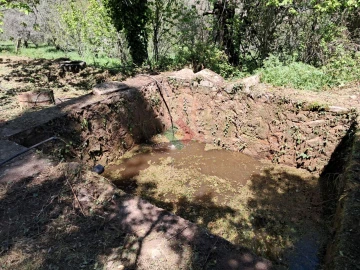 Quinta T5 para Venda em São Salvador da Aramenha