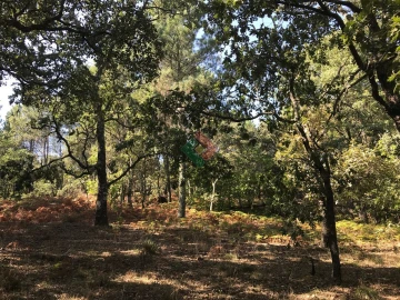 Quinta T5 para Venda em São Salvador da Aramenha