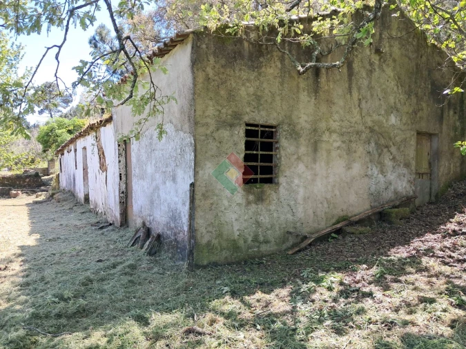Quinta T5 para Venda em São Salvador da Aramenha Foto 3