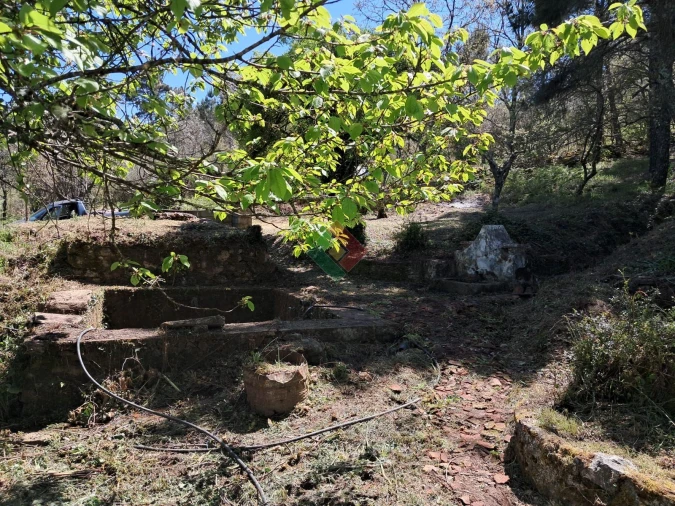 Quinta T5 para Venda em São Salvador da Aramenha Foto 6