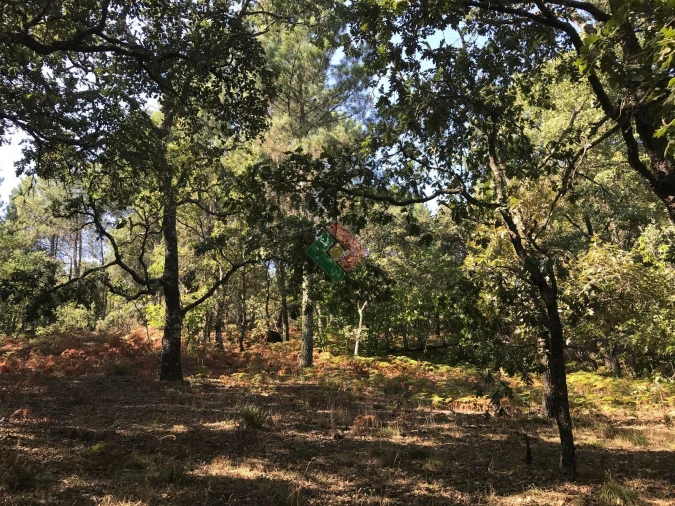 Quinta T5 para Venda em São Salvador da Aramenha Foto 12