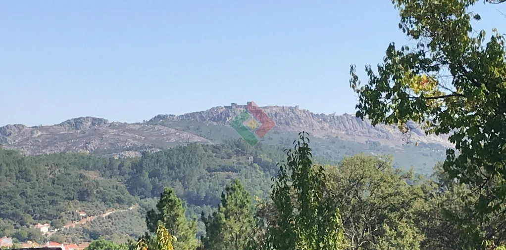 Quinta T5 para Venda em São Salvador da Aramenha Foto 13