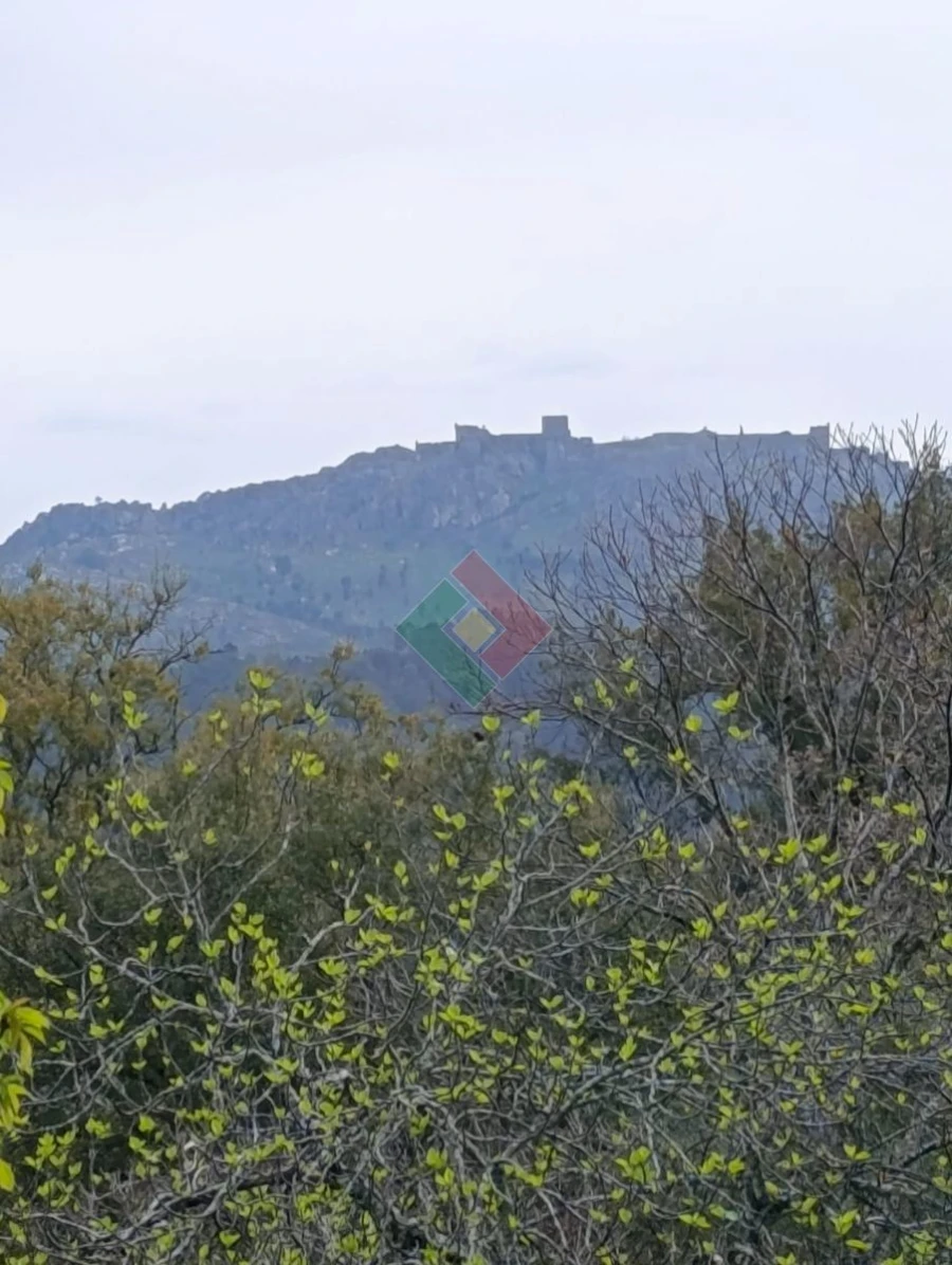 Quinta T5 para Venda em São Salvador da Aramenha Foto 14