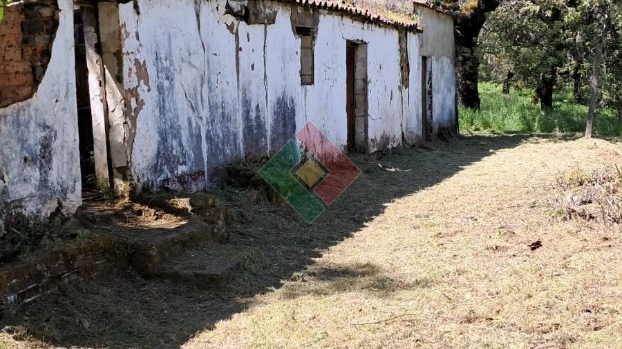 Quinta T5 para Venda em São Salvador da Aramenha