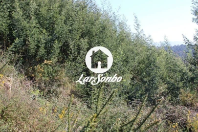 Terreno P/ Prédio para Venda em Lama