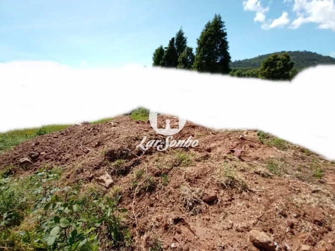 Terreno P/ Prédio para Venda em Lama Foto 7