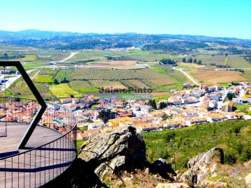 Terreno Agricola ou Rústico para Venda em Vila Flor e Nabo