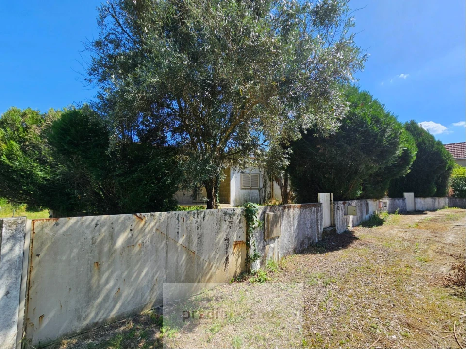 Moradia T6 para Venda em Travanca Foto 23