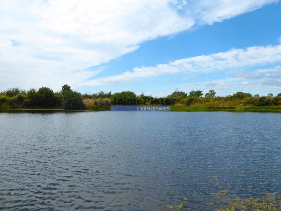 Terreno Agricola ou Rústico para Venda em Figueira de Castelo Rodrigo Foto 4