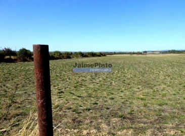 Terreno Agricola ou Rústico para Venda em Figueira de Castelo Rodrigo