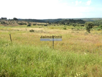 Terreno Agricola ou Rústico para Venda em Figueira de Castelo Rodrigo