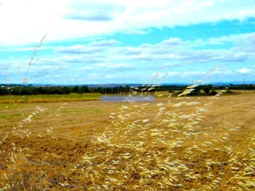 Terreno Agricola ou Rústico para Venda em Figueira de Castelo Rodrigo