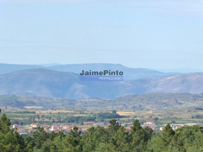 Terreno Agricola ou Rústico para Venda em Figueira de Castelo Rodrigo Foto 7