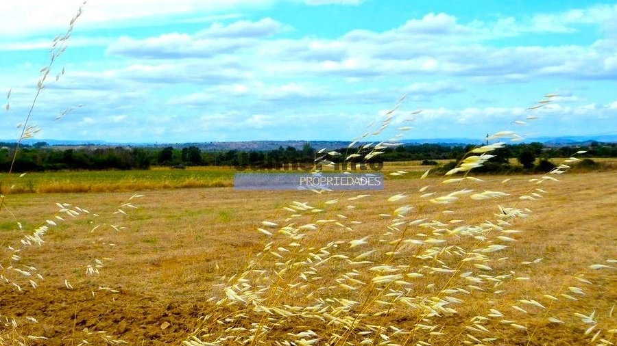 Terreno Agricola ou Rústico para Venda em Figueira de Castelo Rodrigo