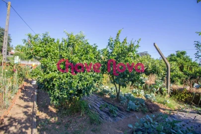 Terreno para Venda em São Martinho da Gandara