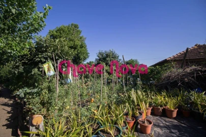 Terreno para Venda em São Martinho da Gandara