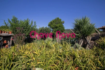 Terreno para Venda em São Martinho da Gandara