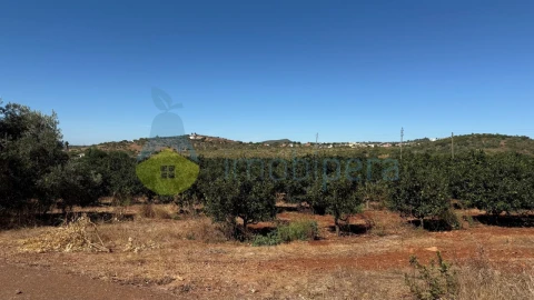 Quinta T2 para Venda em São Bartolomeu de Messines