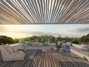 Terreno para Venda em Carvalhal