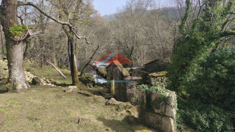 Quinta T1 para Venda em Tangil