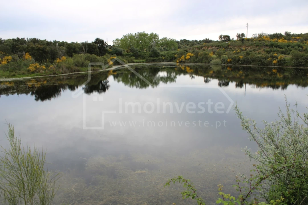 Quinta T7 para Venda em Monsanto e Idanha-A-Velha Foto 12