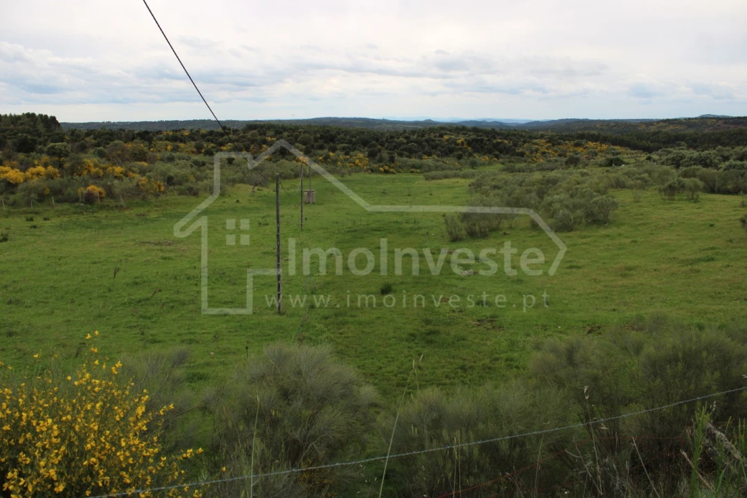 Quinta T7 para Venda em Monsanto e Idanha-A-Velha Foto 14