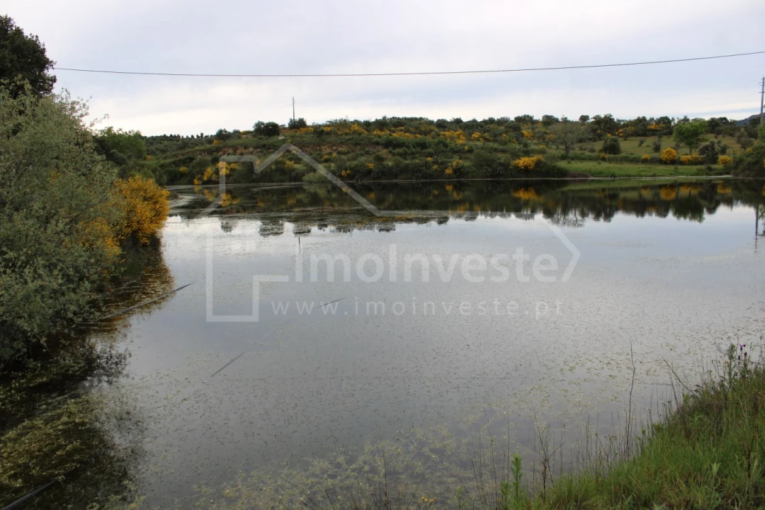 Quinta T7 para Venda em Monsanto e Idanha-A-Velha Foto 11