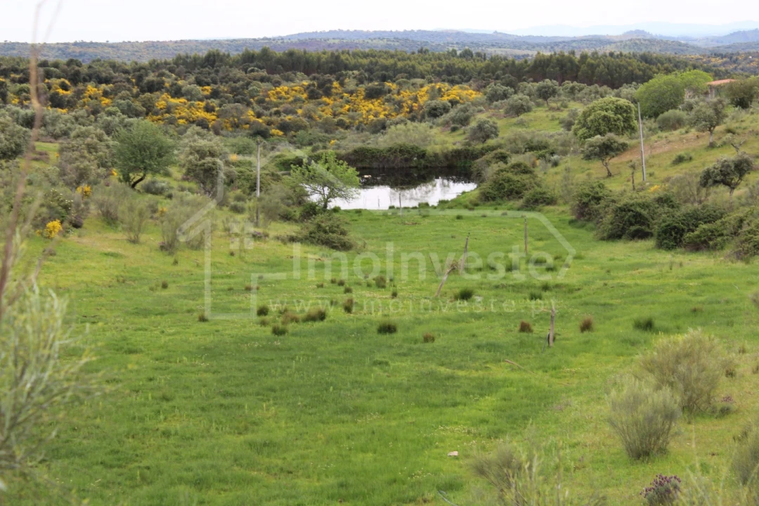 Quinta T7 para Venda em Monsanto e Idanha-A-Velha Foto 21