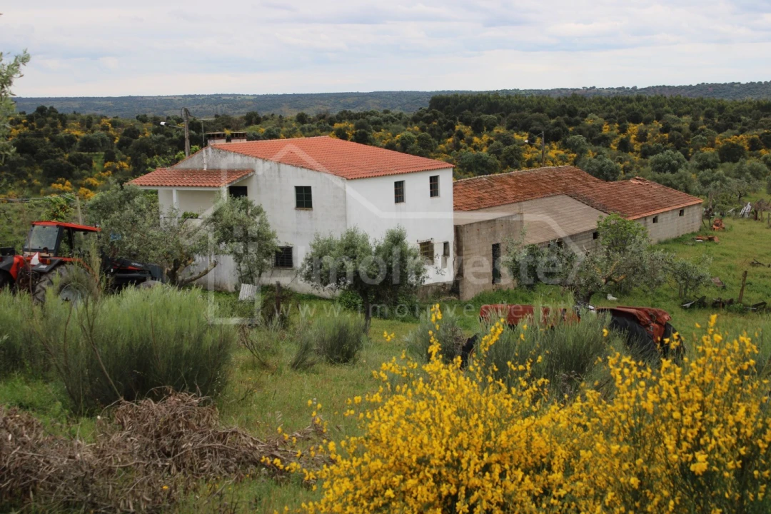 Quinta T7 para Venda em Monsanto e Idanha-A-Velha Foto 2