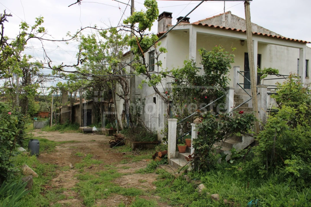 Quinta T7 para Venda em Monsanto e Idanha-A-Velha Foto 4