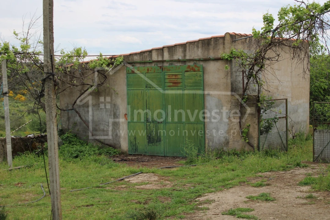 Quinta T7 para Venda em Monsanto e Idanha-A-Velha Foto 5