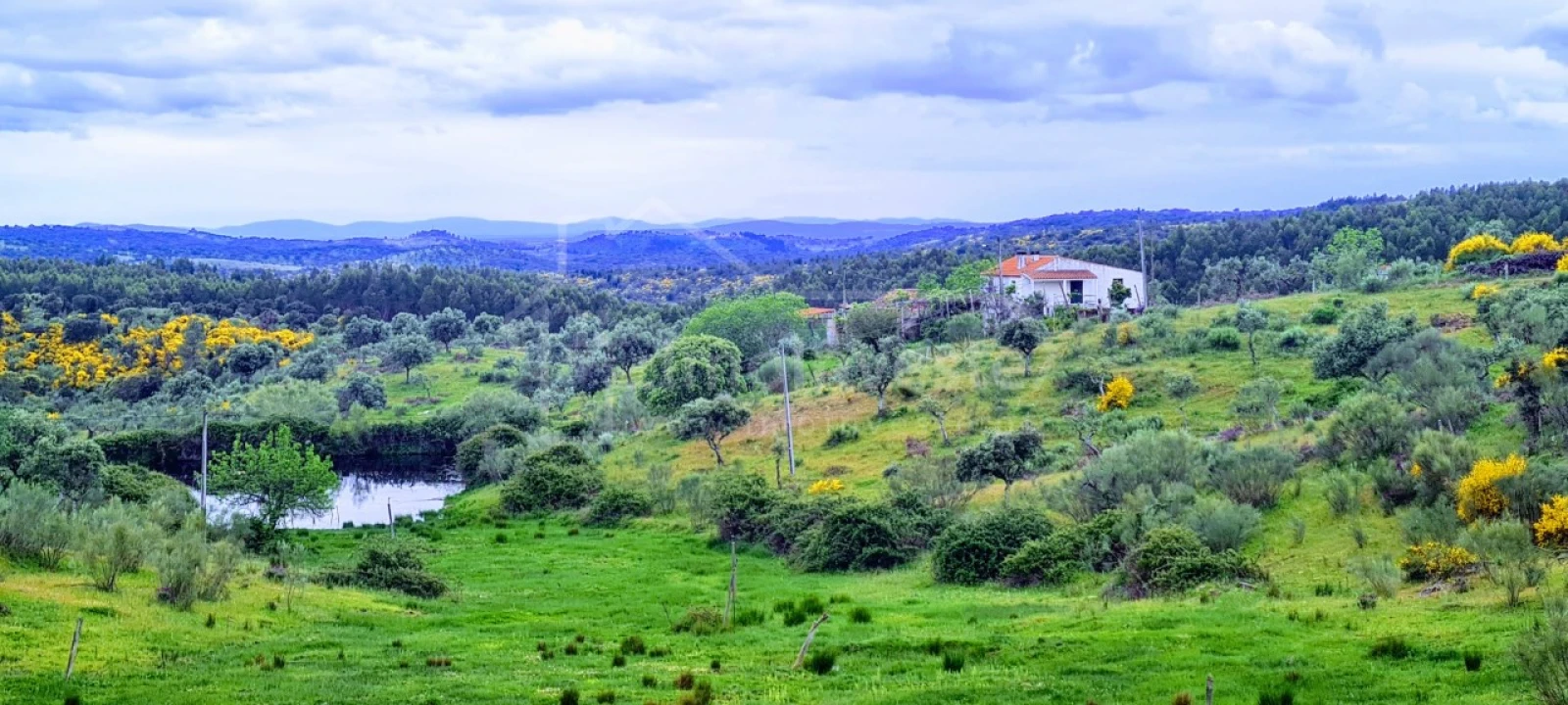 Quinta T7 para Venda em Monsanto e Idanha-A-Velha Foto 1