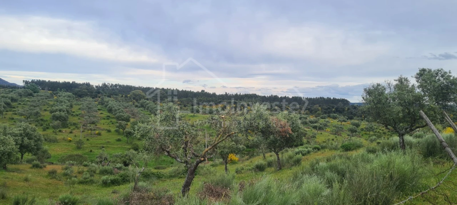 Quinta T7 para Venda em Monsanto e Idanha-A-Velha Foto 27