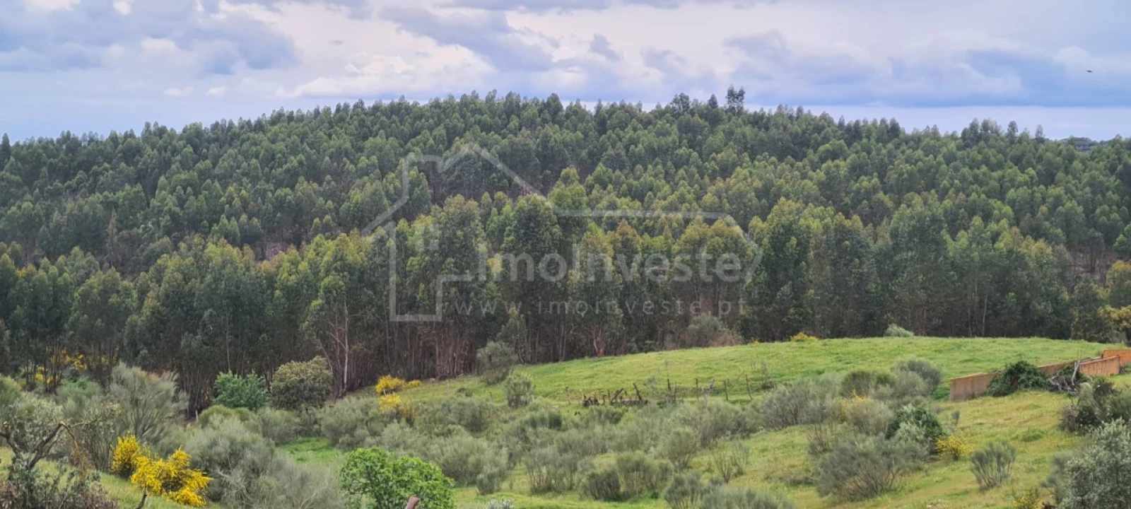 Quinta T7 para Venda em Monsanto e Idanha-A-Velha Foto 30