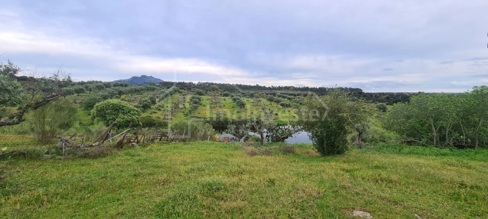 Quinta T7 para Venda em Monsanto e Idanha-A-Velha Foto 31