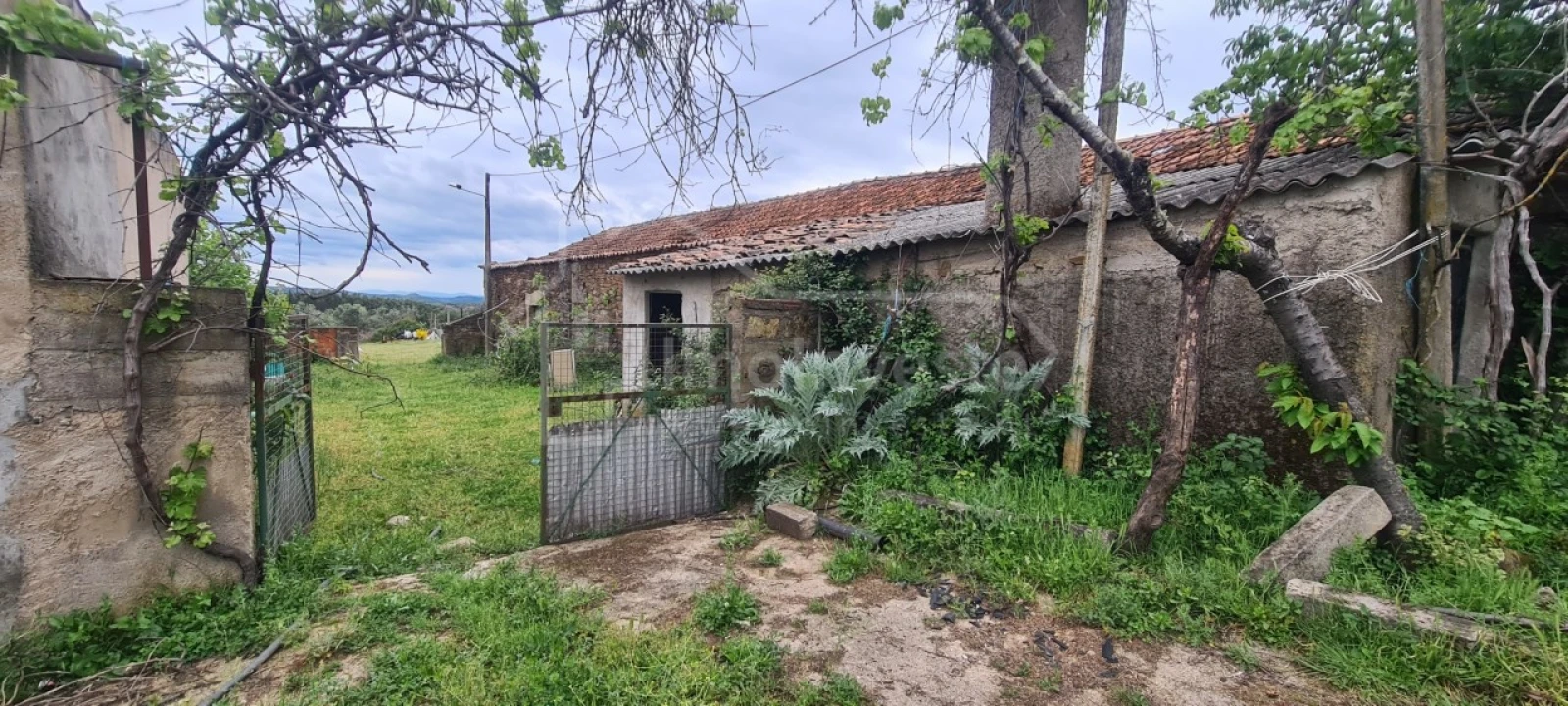 Quinta T7 para Venda em Monsanto e Idanha-A-Velha Foto 9