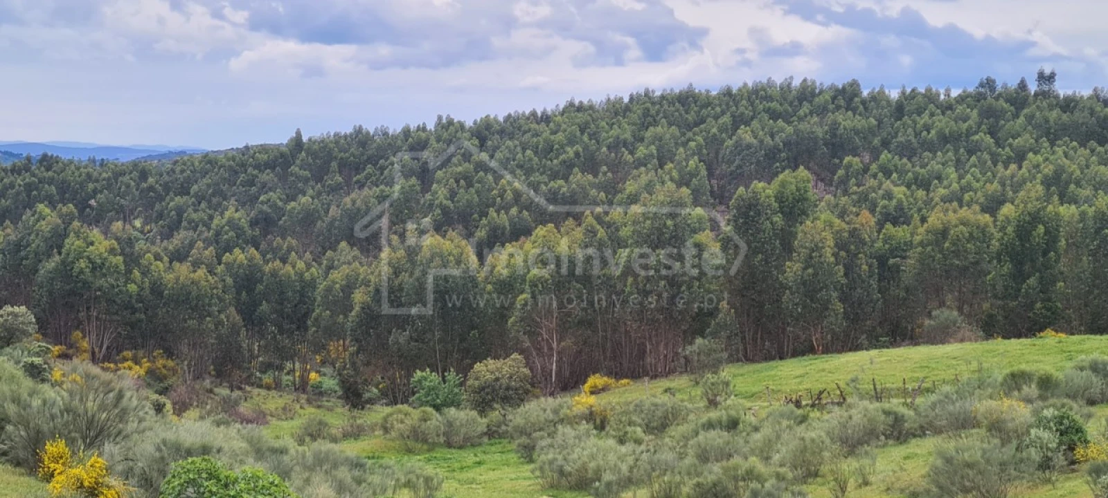 Quinta T7 para Venda em Monsanto e Idanha-A-Velha Foto 29