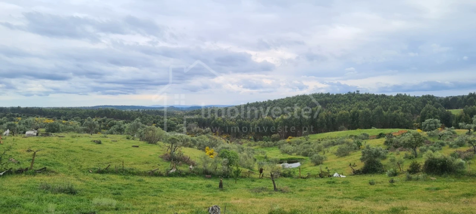 Quinta T7 para Venda em Monsanto e Idanha-A-Velha Foto 32