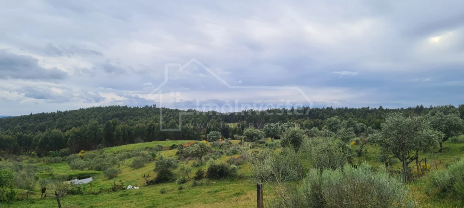 Quinta T7 para Venda em Monsanto e Idanha-A-Velha Foto 33