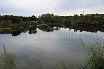 Quinta T7 para Venda em Monsanto e Idanha-A-Velha