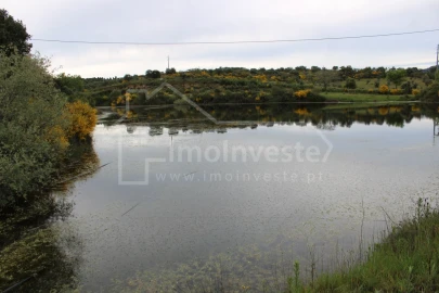 Quinta T7 para Venda em Monsanto e Idanha-A-Velha