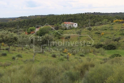 Quinta T7 para Venda em Monsanto e Idanha-A-Velha