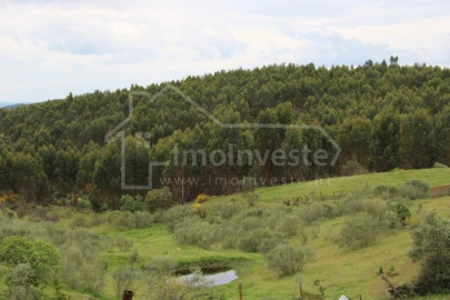 Quinta T7 para Venda em Monsanto e Idanha-A-Velha