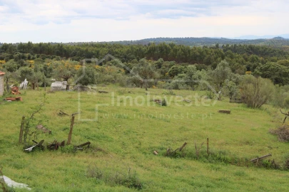 Quinta T7 para Venda em Monsanto e Idanha-A-Velha