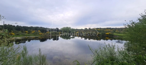 Quinta T7 para Venda em Monsanto e Idanha-A-Velha