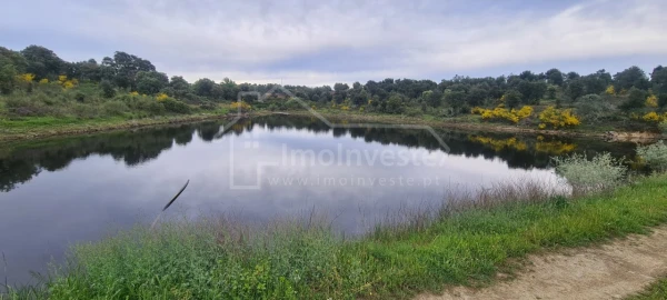 Quinta T7 para Venda em Monsanto e Idanha-A-Velha