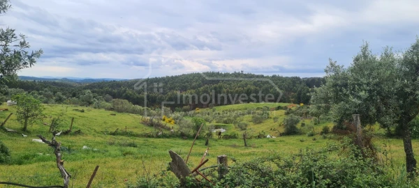Quinta T7 para Venda em Monsanto e Idanha-A-Velha